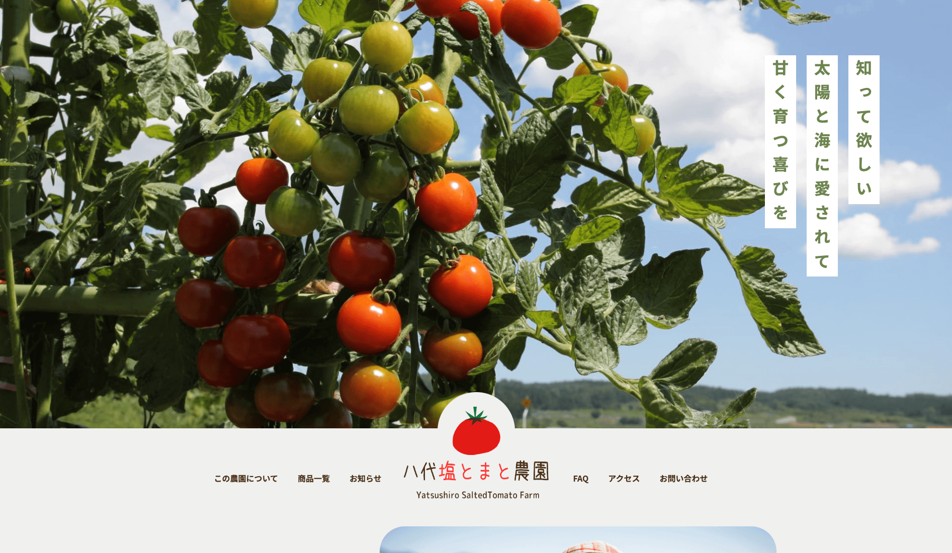 架空トマト農園HP